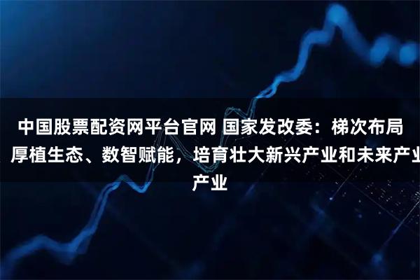 中国股票配资网平台官网 国家发改委：梯次布局、厚植生态、数智赋能，培育壮大新兴产业和未来产业