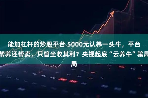 能加杠杆的炒股平台 5000元认养一头牛，平台帮养还帮卖，只管坐收其利？央视起底“云养牛”骗局